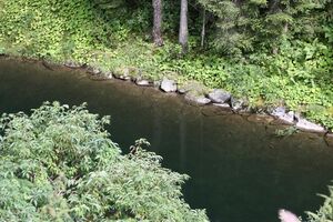 Staudamm seewigtal0002.jpg