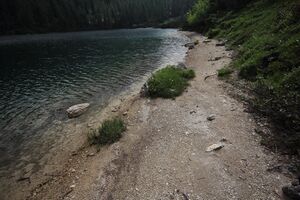 Steirersee südufer 51329 2017-06-24.jpg
