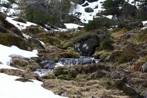 Strickerkar 55690 2014-05-02.jpg