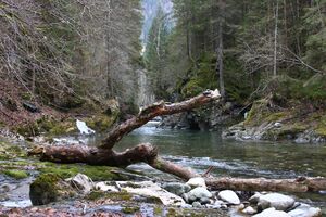 Strubschlucht 34696 2014-01-20.jpg