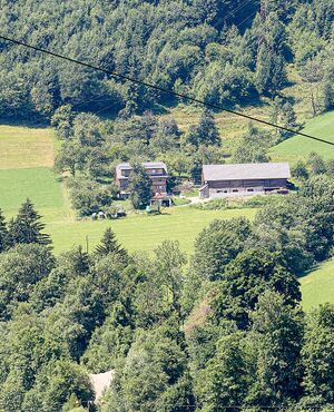 Vlg. gruber strechau-30-2025-07-05.jpg