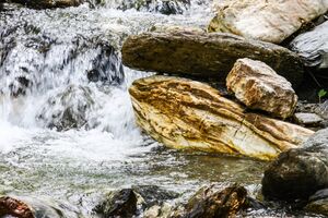 Walchenbach 99836 2015-06-07.jpg