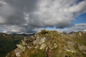 Am nageleck 76945 2014-06-15.jpg