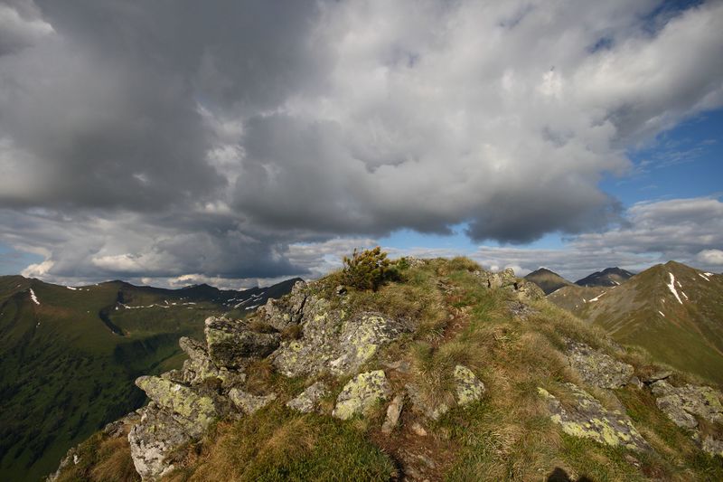 Datei:Am nageleck 76945 2014-06-15.jpg