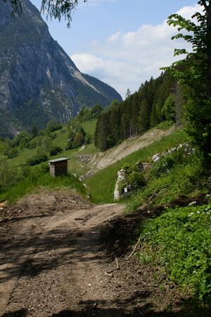 Felssturz pürgg-0191-2023-05-27.jpg