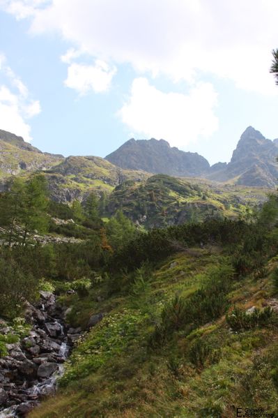 Datei:GeinkelIMG 9052.jpg