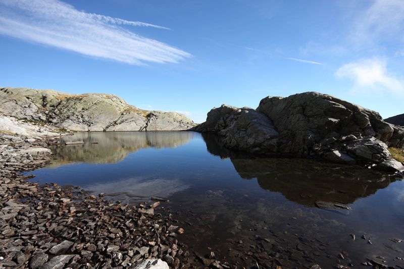 Datei:Goldlacken 0240 2013-10-08.jpg