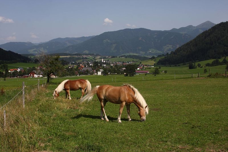 Datei:Gröbming winkl0015.jpg