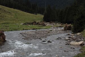 Großsölkbach hüttfeldalm 55508 2017-08-13.jpg