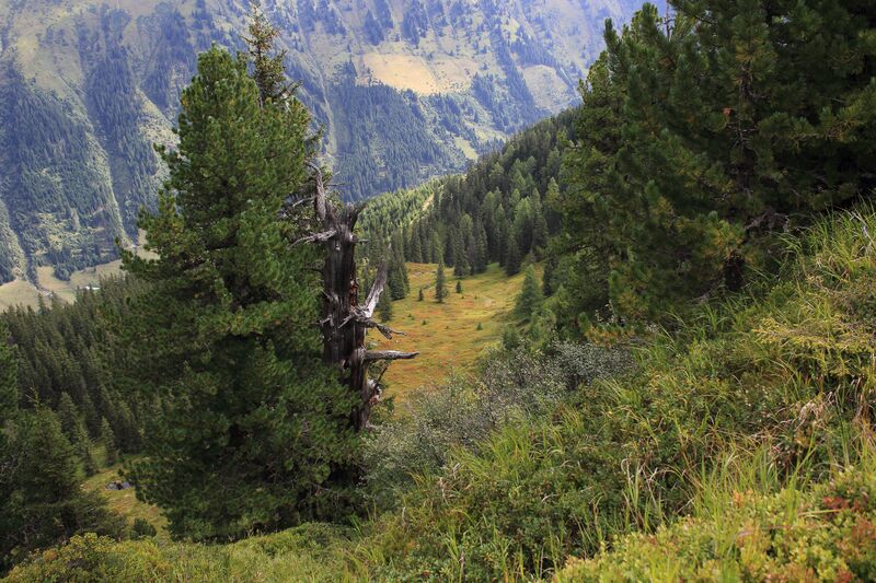 Datei:Jausenkogel ost 56278 2017-08-23.jpg