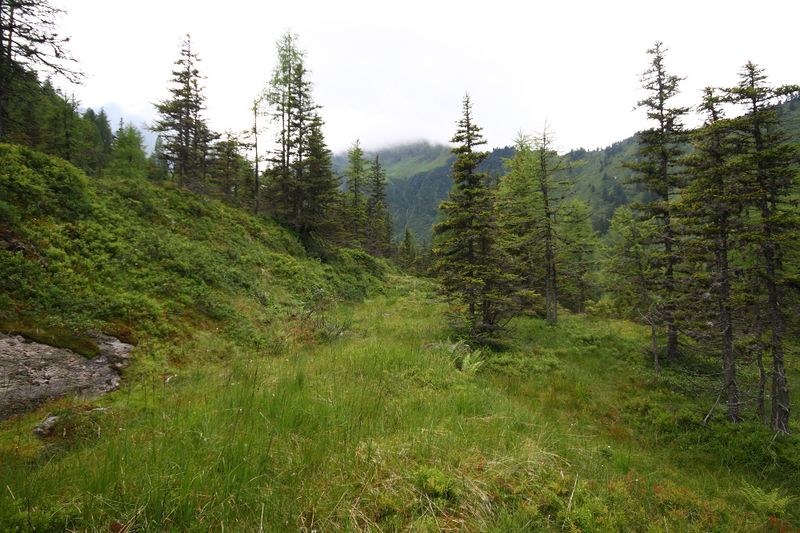 Datei:Knallkar großsölk 55612 2016-08-17.jpg