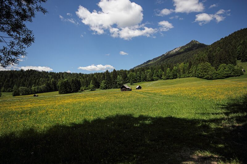 Datei:Krautmoos badM 48561 2017-05-27.jpg