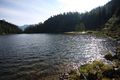 Landauersee 14762 2011-08-31.jpg