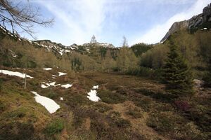 Luseralm 71684 2018-05-01.jpg