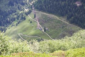 Moseralm-karlspitz-402-2014-07-01.jpg
