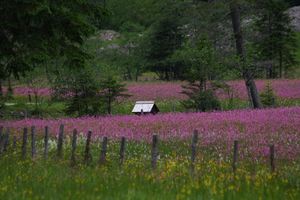 Preuneggtal 1037 13-06-30.jpg