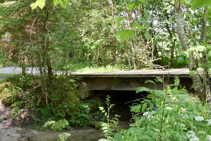 Datei:Rausch Mühle ramsau-0057-2025-06-09.jpg