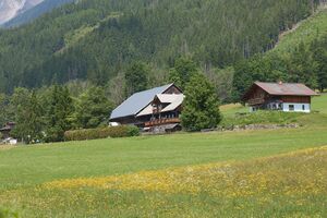 Rauschhof ramsau-0058-2025-06-09.jpg