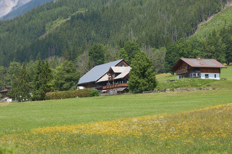 Datei:Rauschhof ramsau-0058-2025-06-09.jpg
