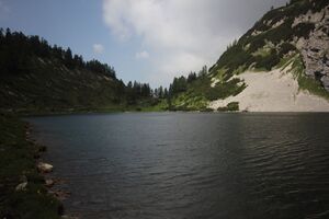 Schwarzensee tot-geb 51369 2017-06-24.jpg