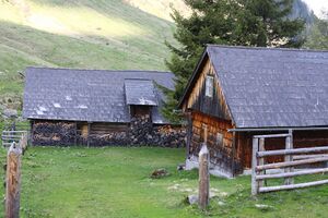 Strickeralm 55584 2014-05-02.jpg