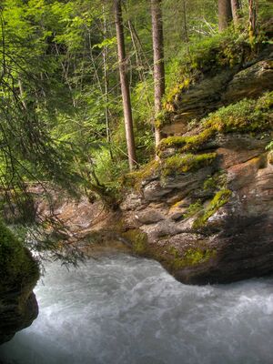 Untertalbach 7246 2007-07-01.jpg