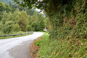Bodenweg-0077-2025-09-15.jpg