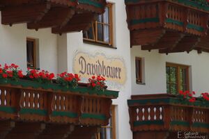 Davidbauer birnberg 9741.jpg