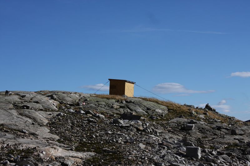 Datei:Goldlacken 0293 2013-10-08.jpg