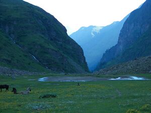 Gollingwinkel 16241 2006-07-05.jpg