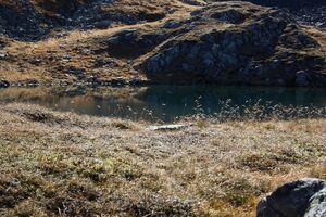 Mittlerer hüttkarsee 74706 2014-10-18.jpg
