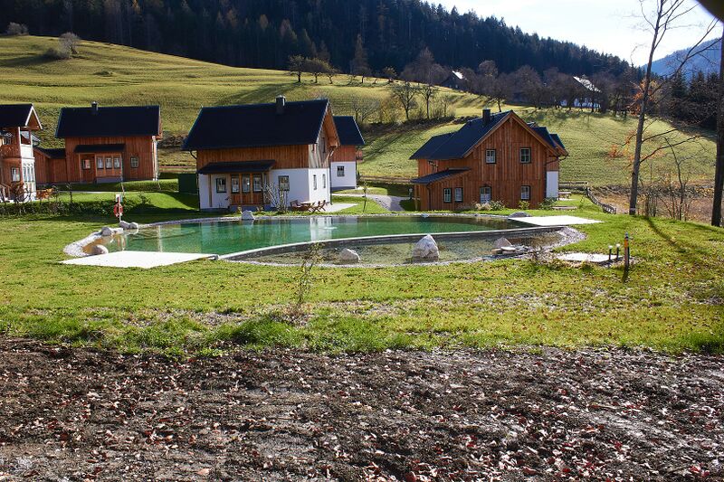 Datei:Narzissendorf Zloam-0323-2022-11-09.jpg