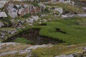 Oberer lanschitzsee 98154 2011-08-12.jpg