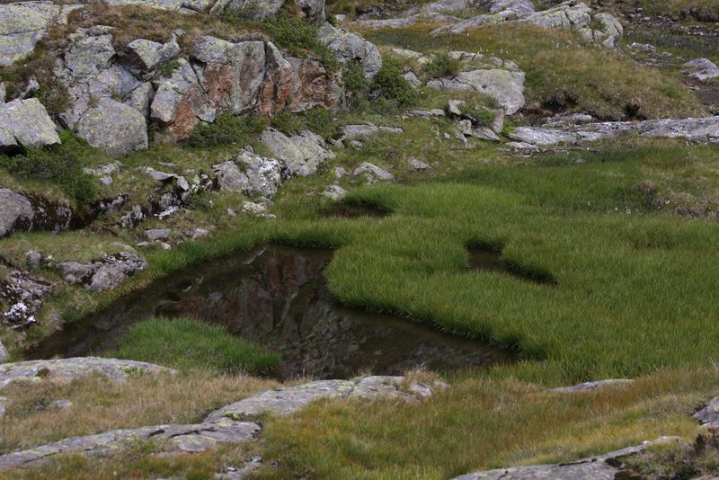 Datei:Oberer lanschitzsee 98154 2011-08-12.jpg