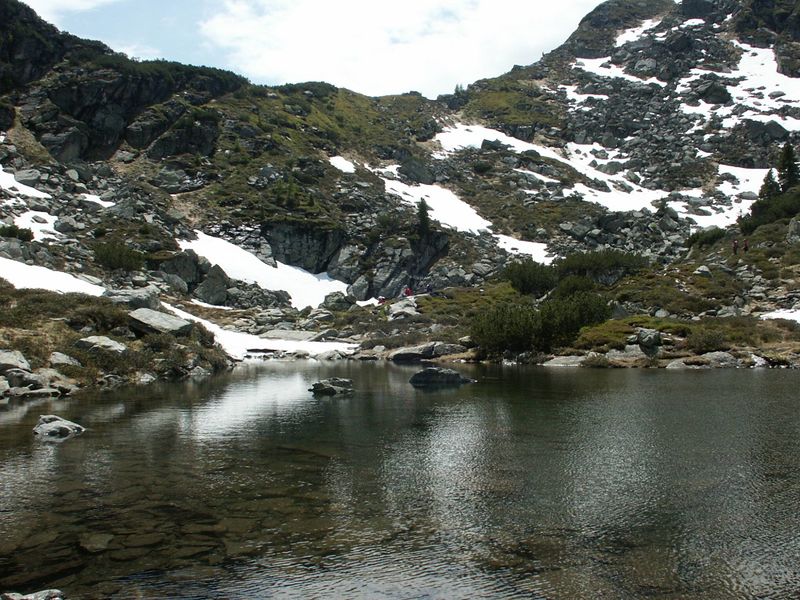 Datei:Obersee 5960 2004-06-27.jpg
