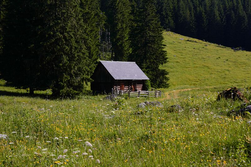 Datei:Pfarralm Johnsbach-2000-2021-07-03.jpg