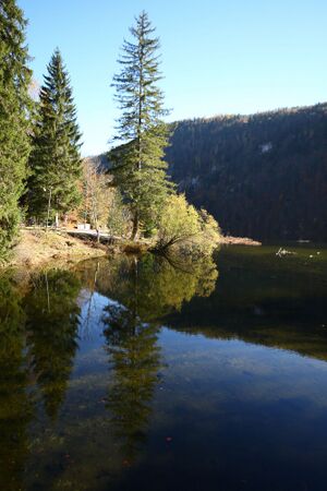 Toplitzsee 77737 2014-11-03.jpg
