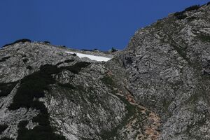 Traweng tauplitzalm 51495 2017-06-24.jpg