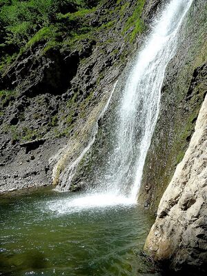 Wsf lessern mühlbach 58136 2014-05-16.JPG