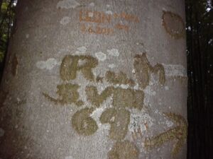 326 liezen 20.05.2012.jpg