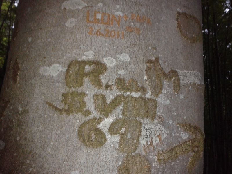 Datei:326 liezen 20.05.2012.jpg