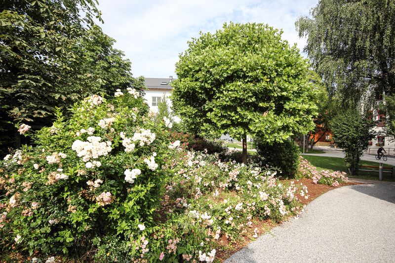 Datei:Felletinpark schladming-1002-2018-07-10.jpg