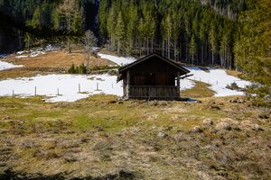 Granglalm steinriesental-22-2020-04-06.jpg