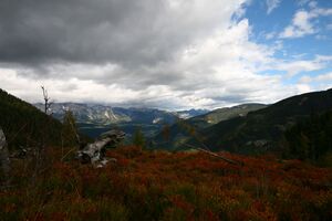 Guschen 20017 2007-09-28.jpg