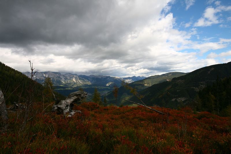 Datei:Guschen 20017 2007-09-28.jpg