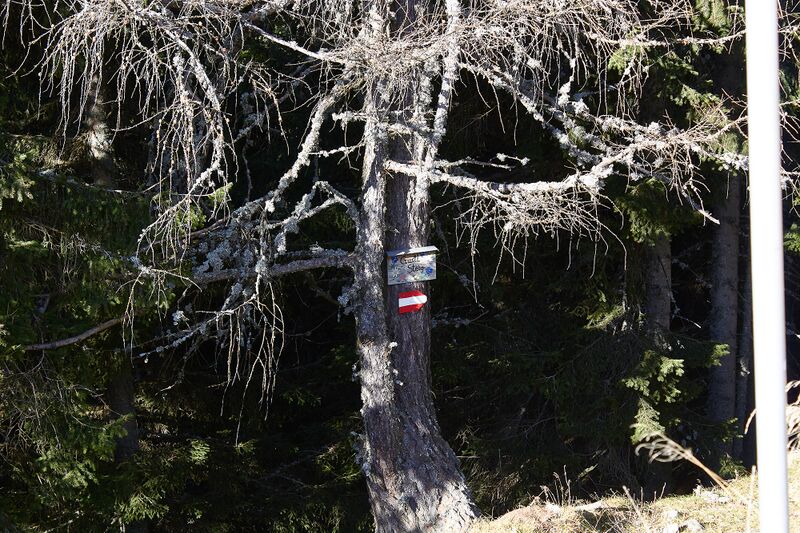 Datei:Gustl steig wagenbänkalm-0130-2022-11-14.jpg