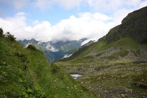 Im Wildkar 2573 2009-07-25.jpg