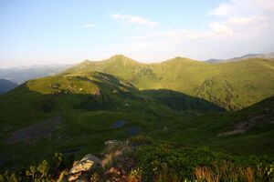 Krottenseen 34194 2013-08-05.jpg