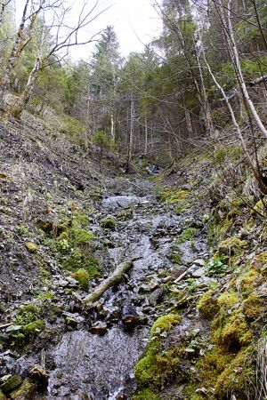 Mühlbach lessern-0180-2023-04-22.jpg