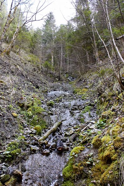 Datei:Mühlbach lessern-0180-2023-04-22.jpg